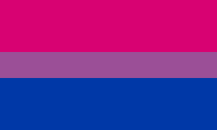 A rectangular flag with the following horizontal stripes: a wide pink, a narrow purple, and a wide blue